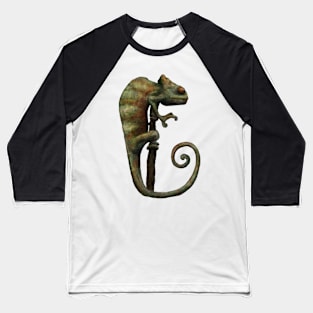 Its a Chameleon Baseball T-Shirt